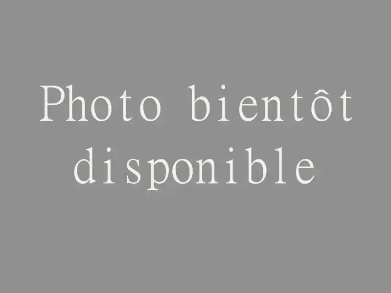 Mobil home maxi confort Amélie les Bains